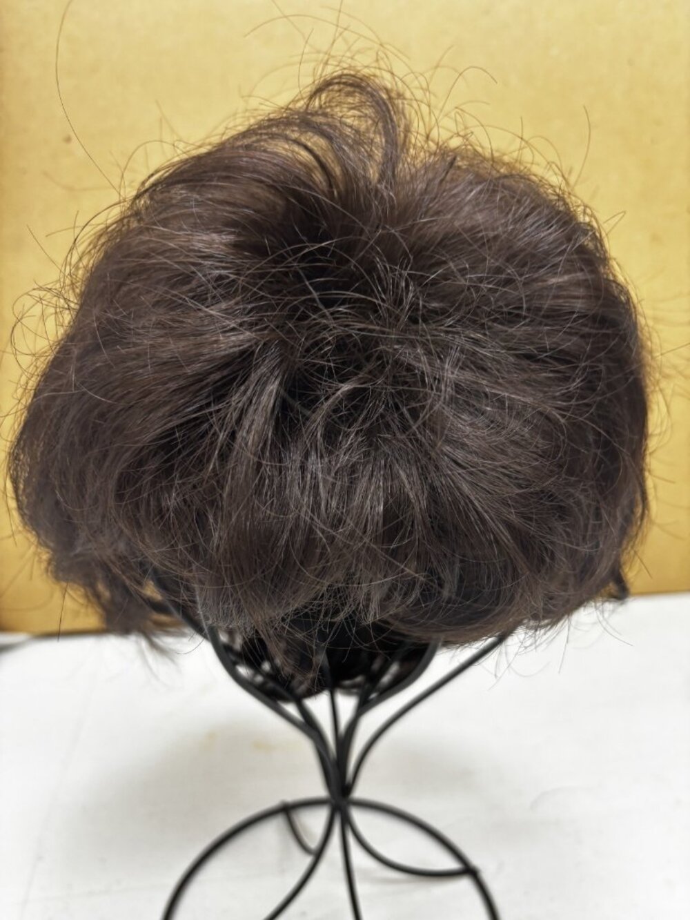 Paula Young Wig SENSATIONAL Dark Brown